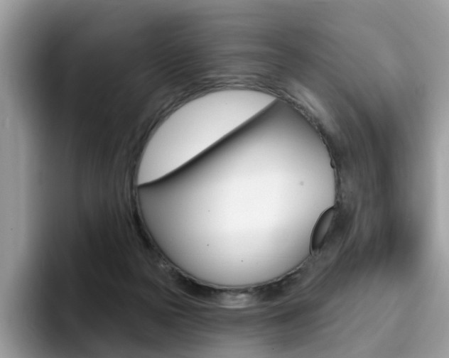 X0000094940169200711291028