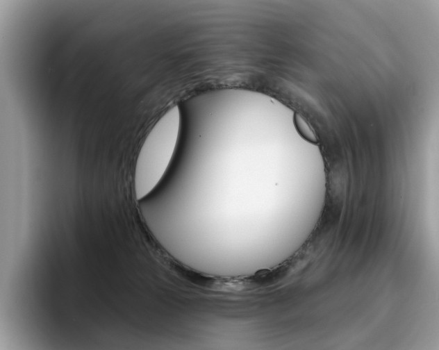 X0000094940181200711291028
