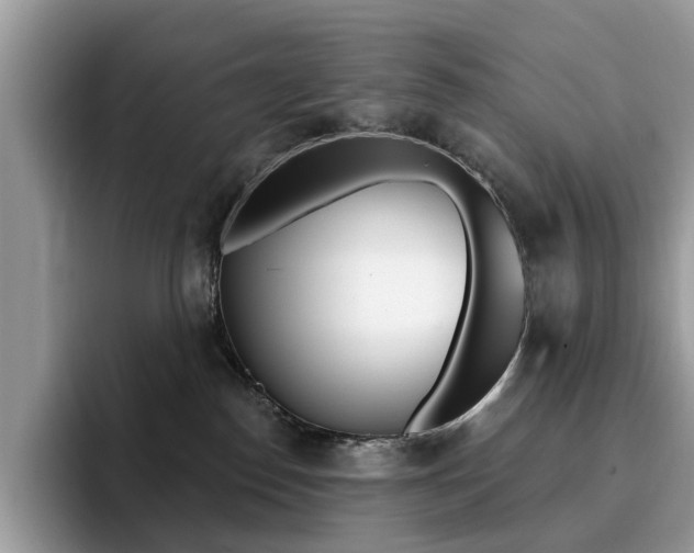 X0000094940186200711291028