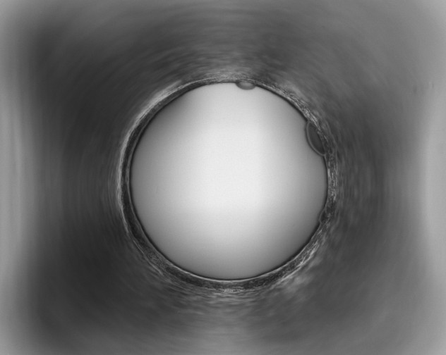 X0000094940196200711291028