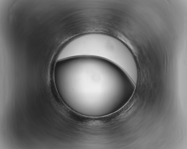 X0000094940203200711291028