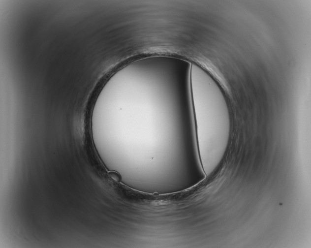 X0000094940204200711291028