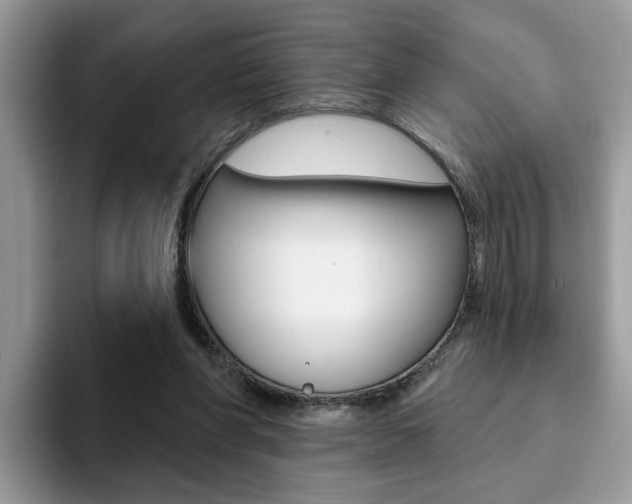 X0000094940206200711291028