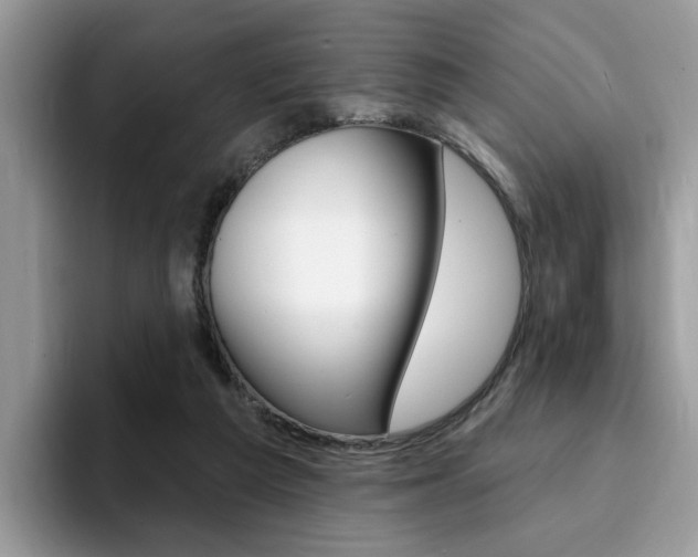 X0000094940209200711291028