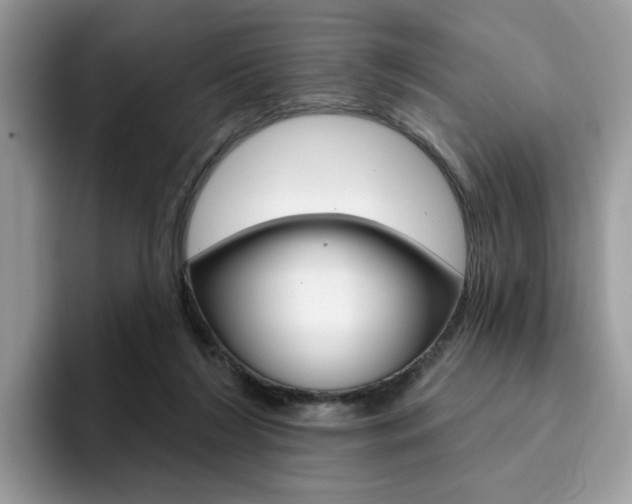 X0000094940212200711291028