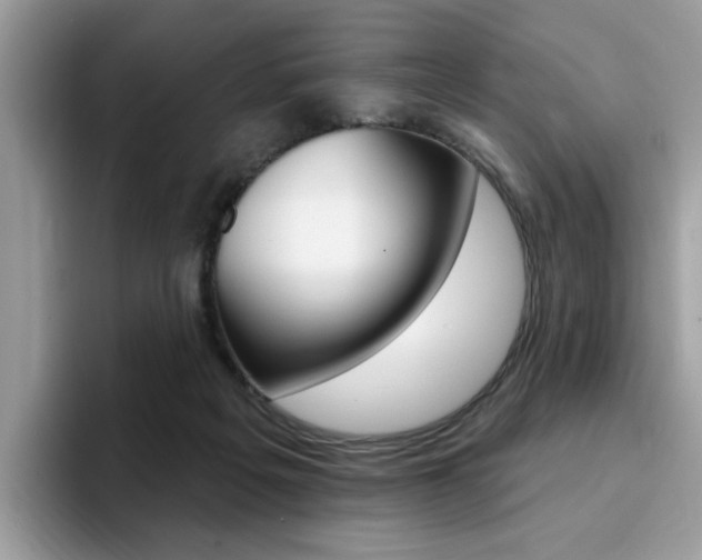 X0000094940217200711291027