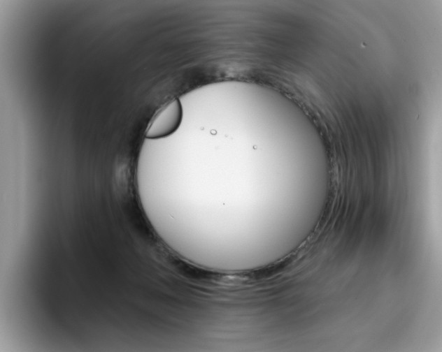 X0000094940222200711291027