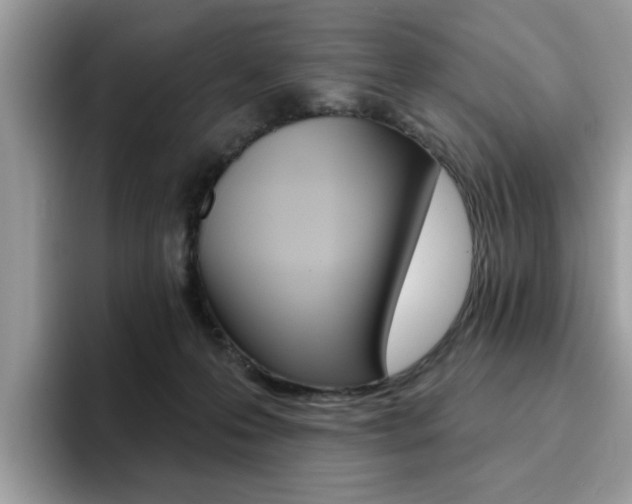 X0000094940223200711291027