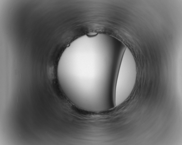 X0000094940224200711291027