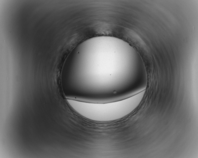 X0000094940229200711291027