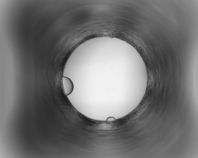 X0000094940236200711291027