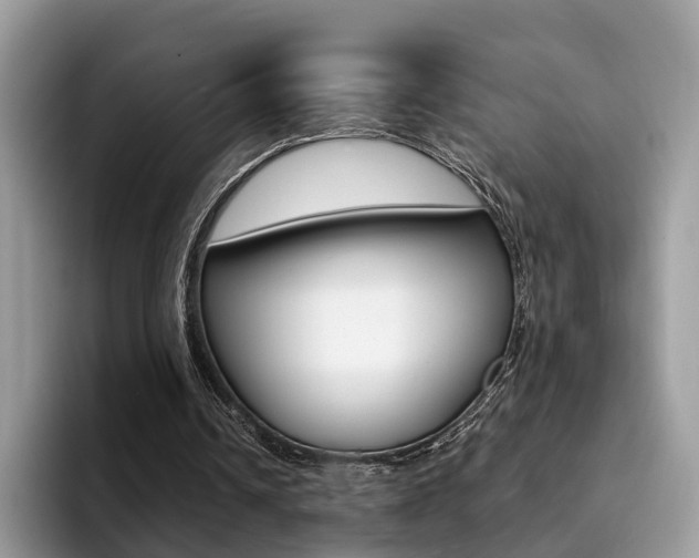 X0000094940242200711291027