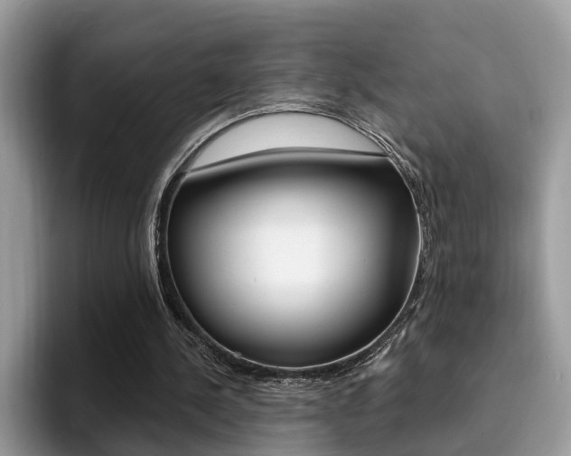 X0000094940244200711291027