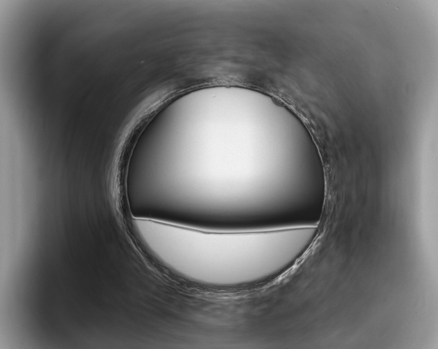 X0000094940245200711291027