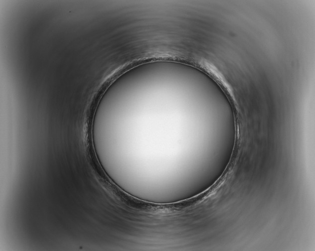 X0000094940249200711291027
