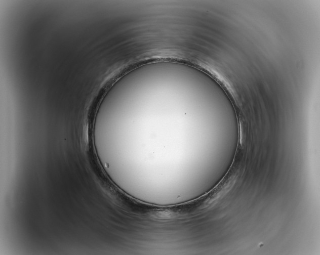 X0000094940253200711291027