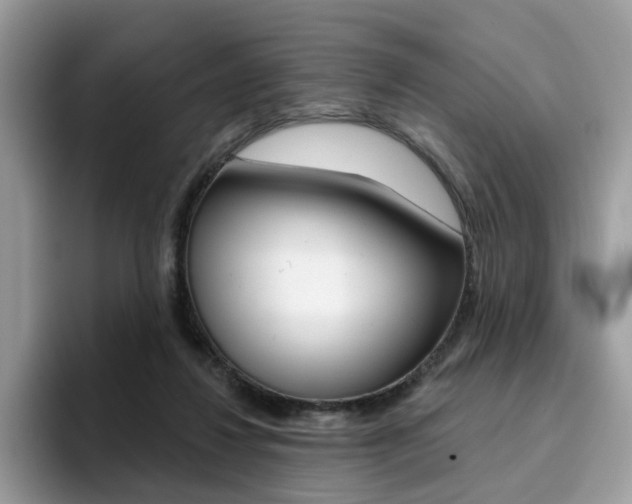 X0000094940260200711291027