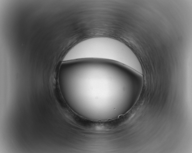 X0000094940264200711291027