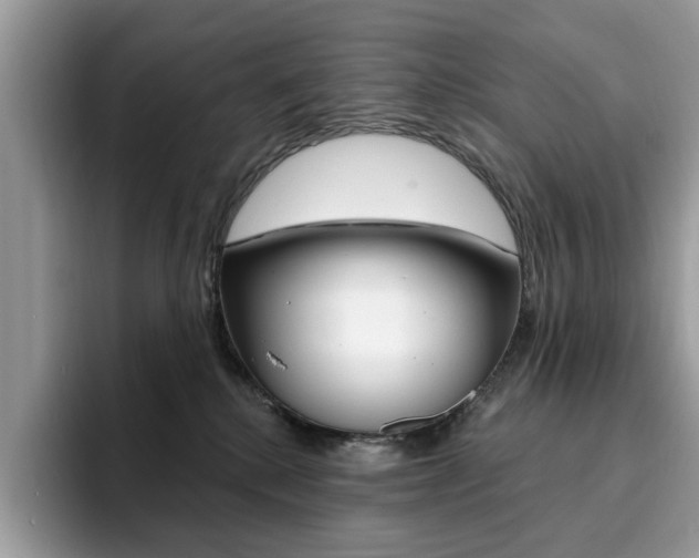 X0000094940280200711291027