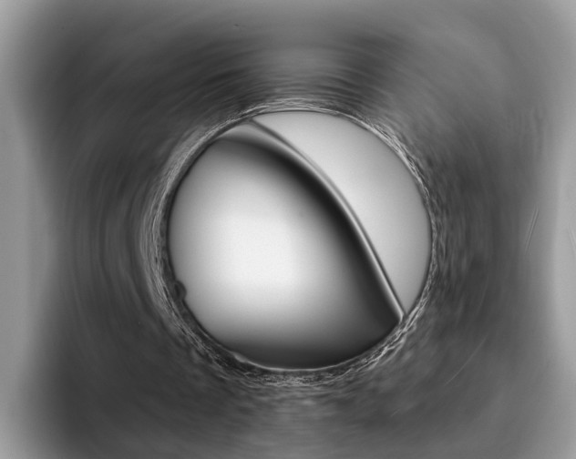 X0000094940289200711291027