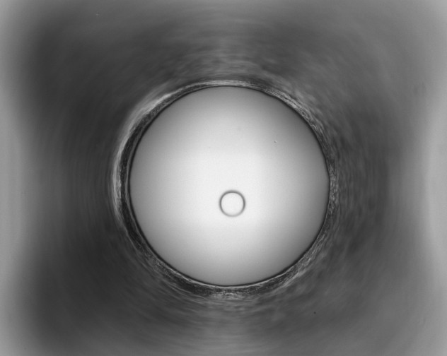 X0000094940294200711291026