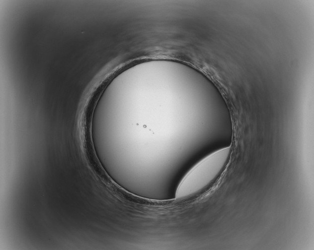 X0000094940295200711291026