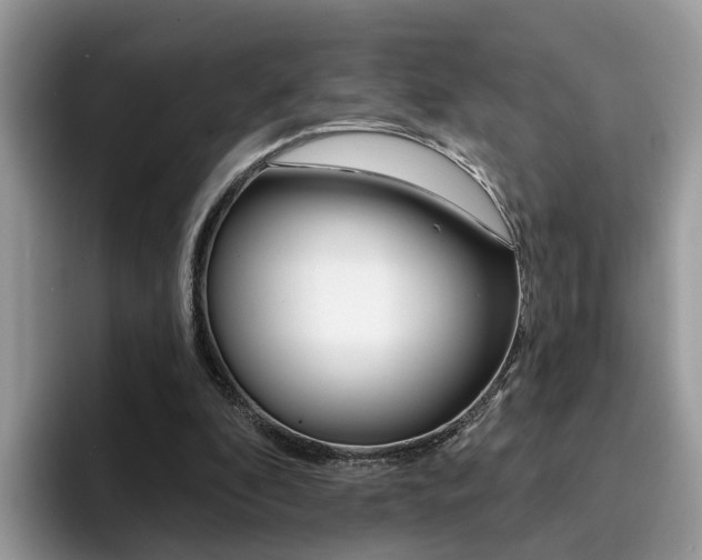 X0000094940296200711291026