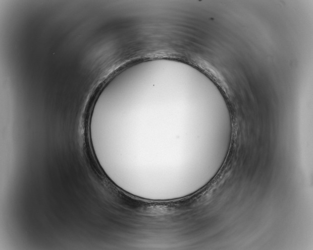 X0000094940298200711291026