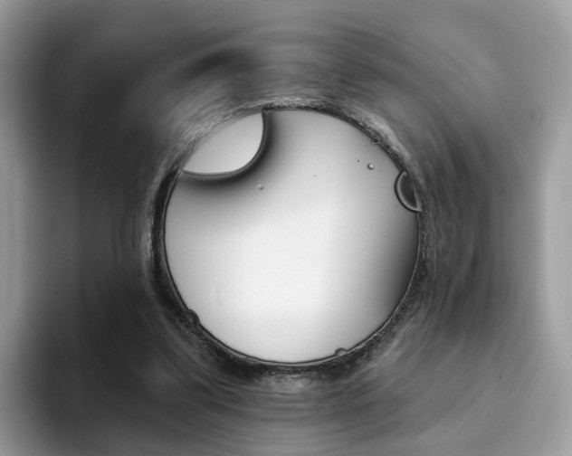 X0000094940299200711291026