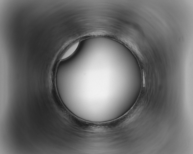 X0000094940300200711291026