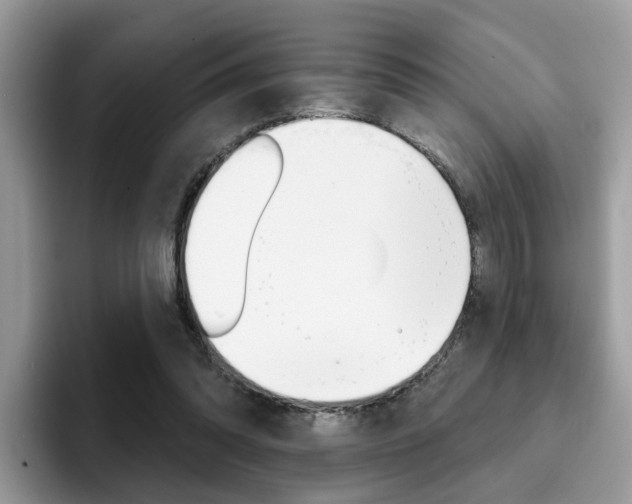 X0000094940302200711291026