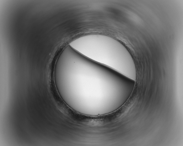 X0000094940303200711291026