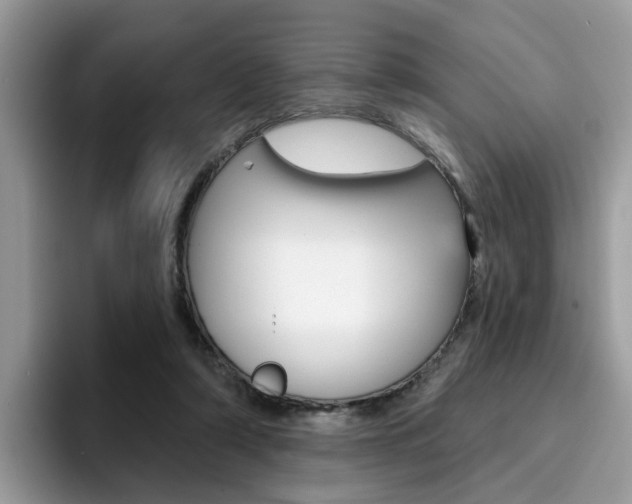 X0000094940306200711291026
