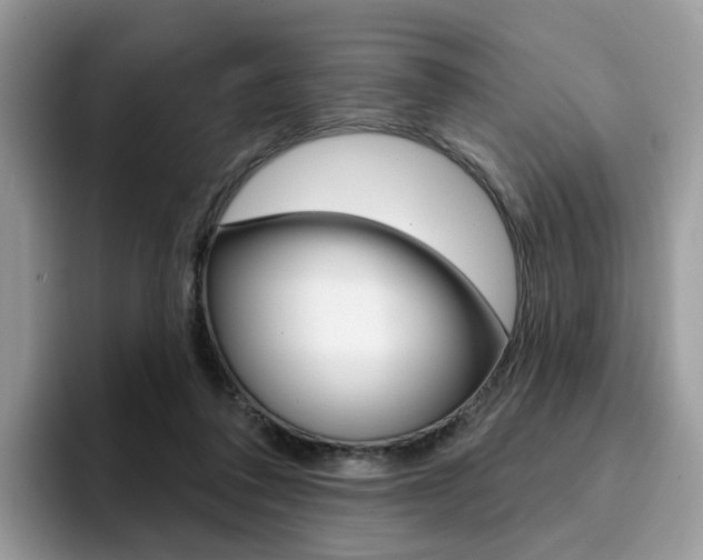 X0000094940308200711291026