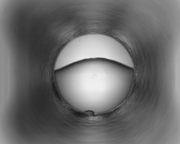 X0000094940314200711291026