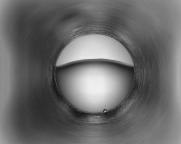 X0000094940315200711291026