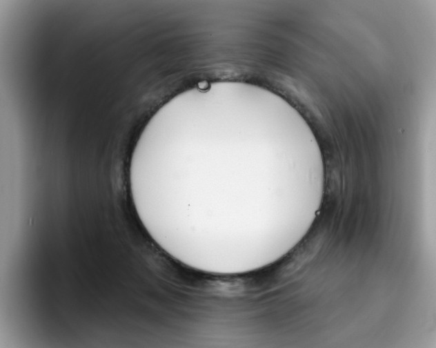 X0000094940317200711291026