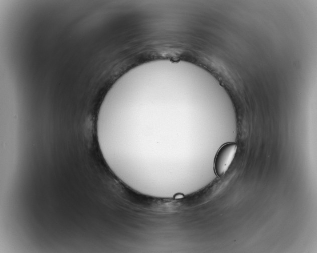 X0000094940321200711291026