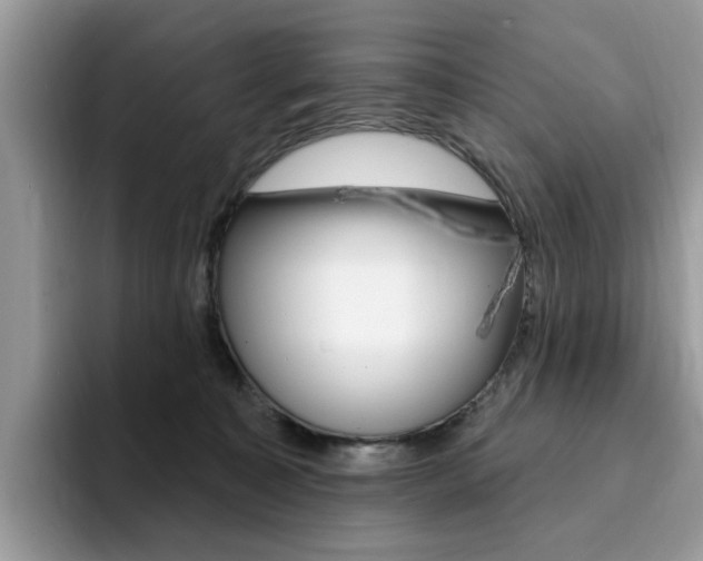X0000094940323200711291026