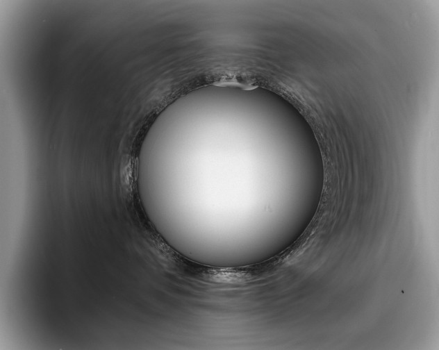 X0000094940336200711291026