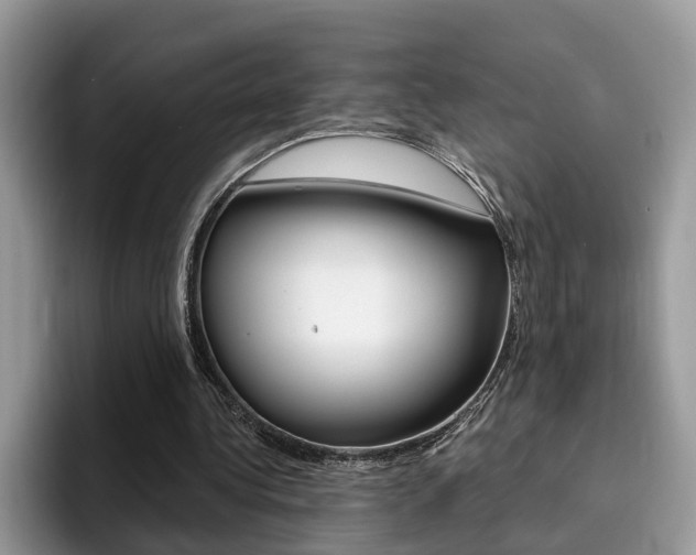 X0000094940340200711291025