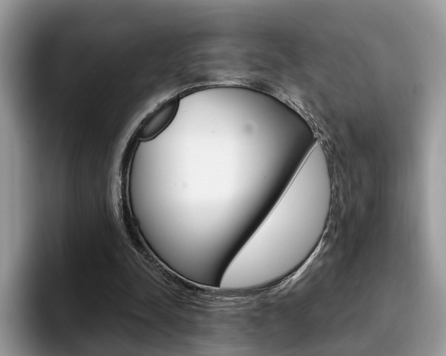 X0000094940342200711291025