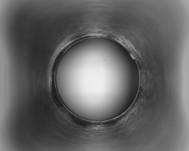 X0000094940344200711291025