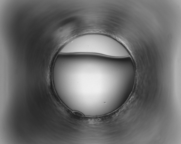 X0000094940345200711291025