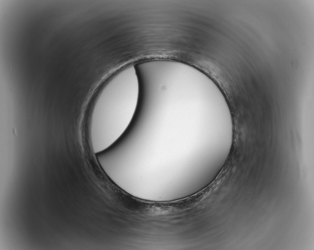 X0000094940346200711291025