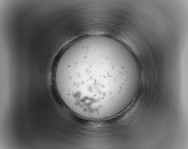 X0000094940351200711291026
