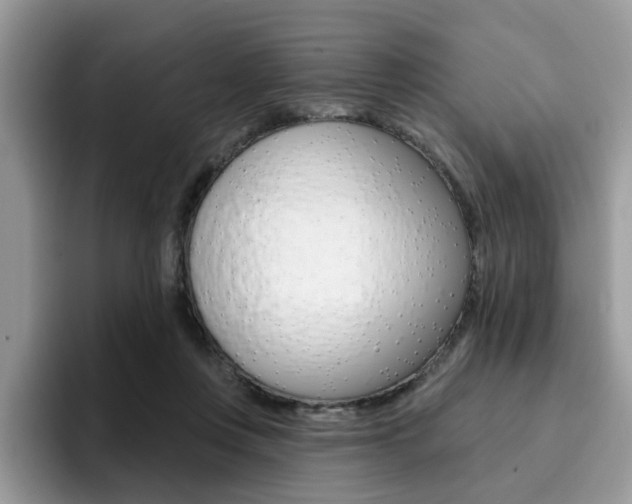 X0000094940359200711291026