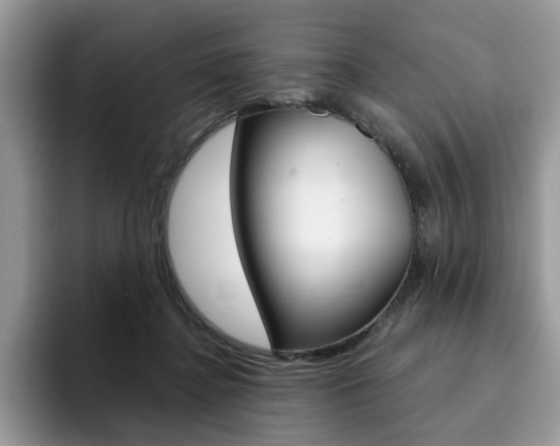 X0000094940364200711291026
