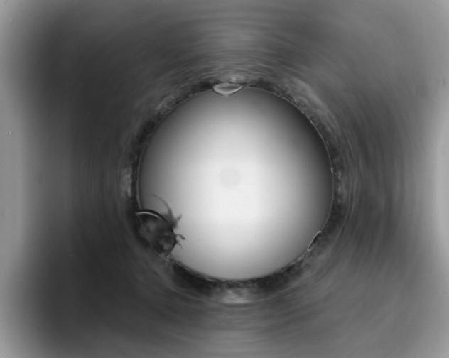 X0000094940368200711291026