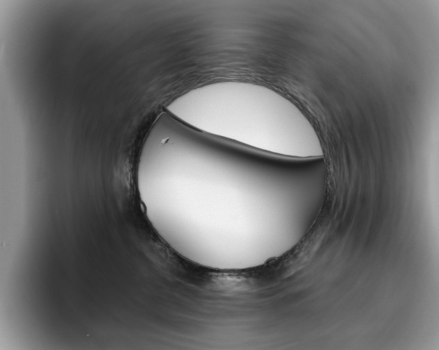 X0000094940380200711291026